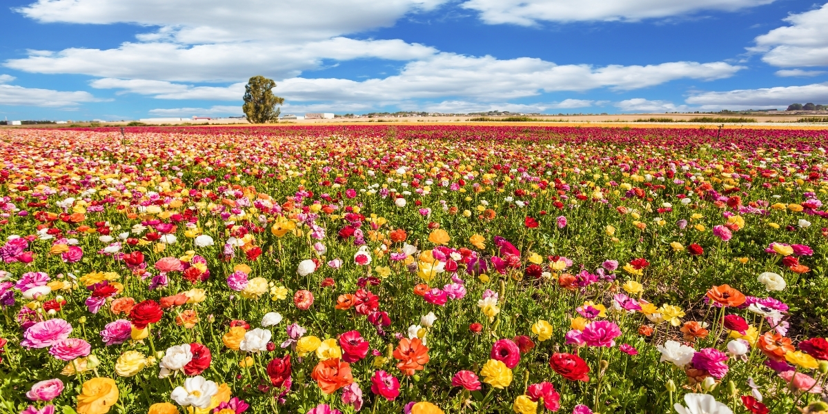 6 cuidados com a pele na primavera