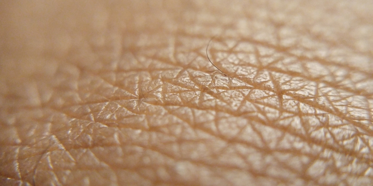  A importância da tecnologia aliada à dermatologia